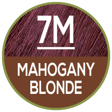 7M Mahogany Blonde
